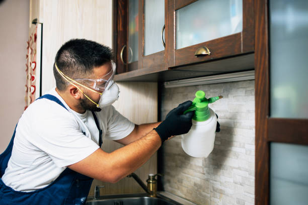 Flea Control Services in Germantown Hills, IL
