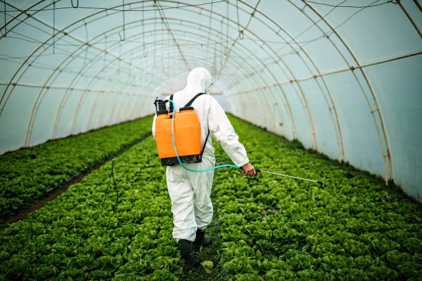 Best Best Pest Control Companies  in Germantown Hls, IL