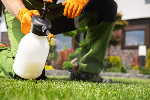 Best Cockroach Control Services  in Germantown Hls, IL