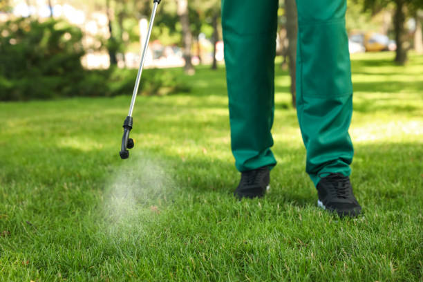 Bird Control in Germantown Hills, IL