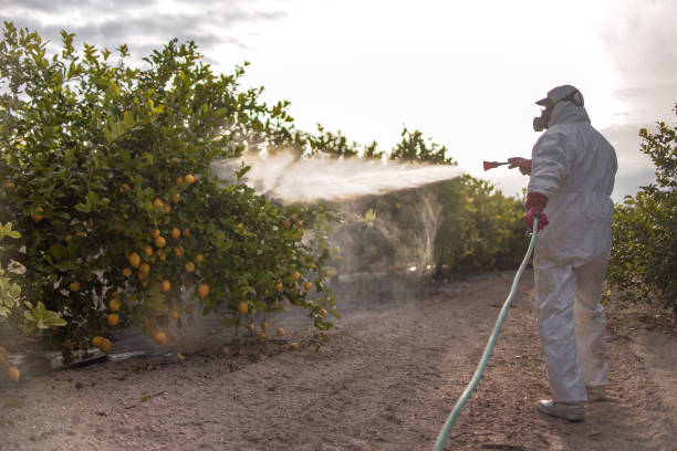 Best Residential Pest Control  in Germantown Hls, IL