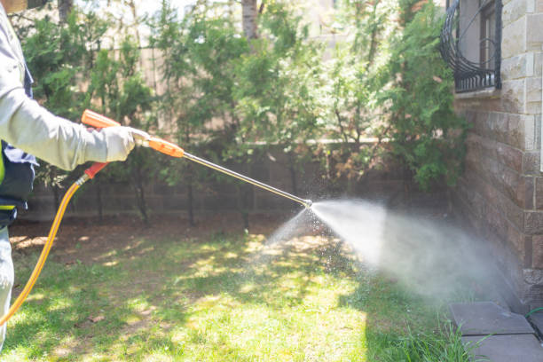 Best Best Pest Control Companies  in Germantown Hls, IL