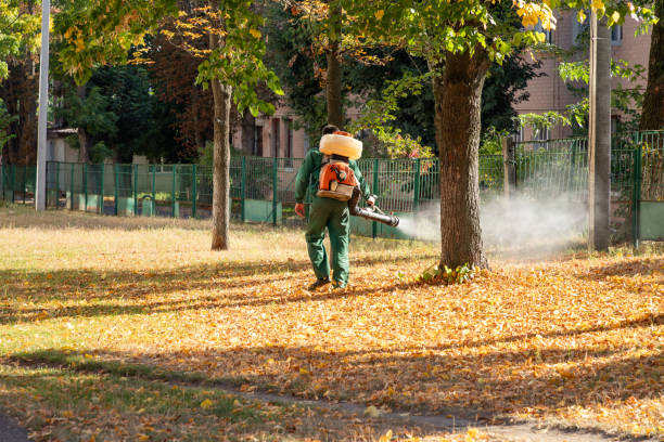 Best Insect Control  in Germantown Hls, IL