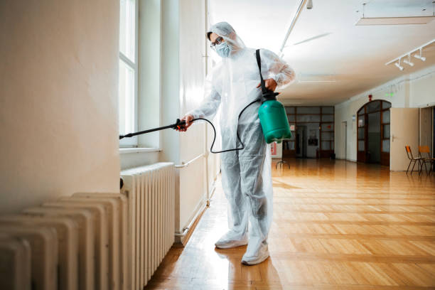 Best Emergency Pest Control  in Germantown Hls, IL